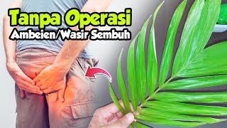 Detail Gambar Daun Salak Nomer 11