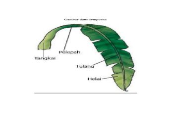 Detail Gambar Daun Sempurna Nomer 44