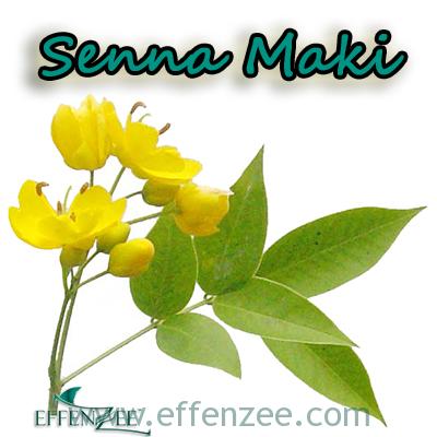 Detail Gambar Daun Senna Nomer 9