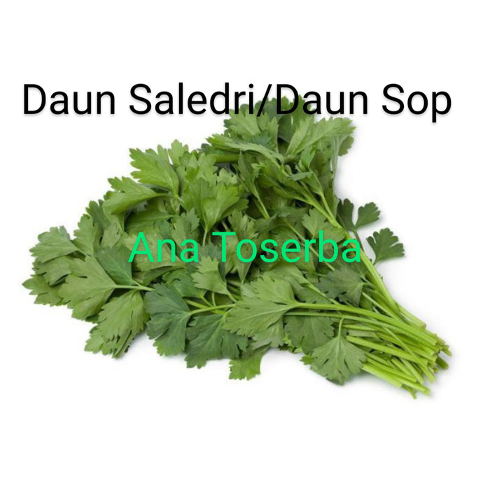 Detail Gambar Daun Sop Gambar Sawi Nomer 48