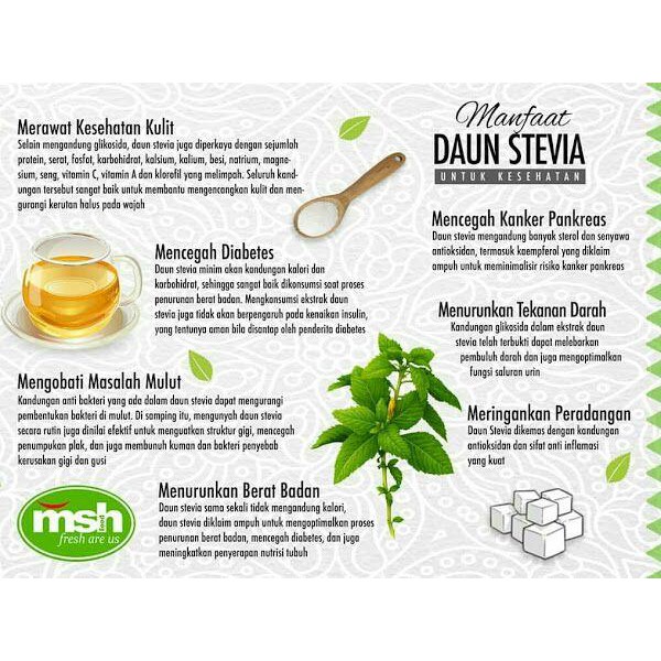 Detail Gambar Daun Stevia Nomer 14