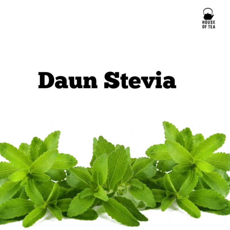 Detail Gambar Daun Stevia Nomer 43