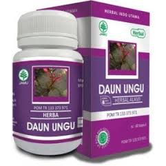 Detail Gambar Daun Ungu Nomer 33