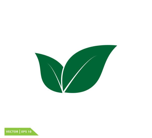 Gambar Daun Vector - KibrisPDR