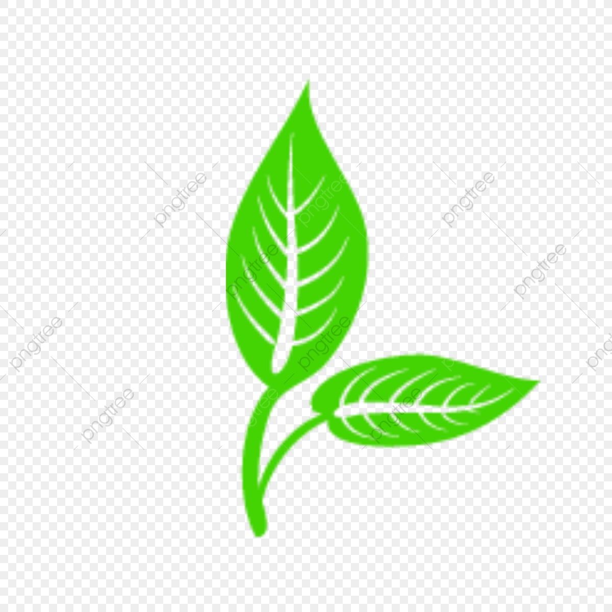 Detail Gambar Daun Vector Nomer 11