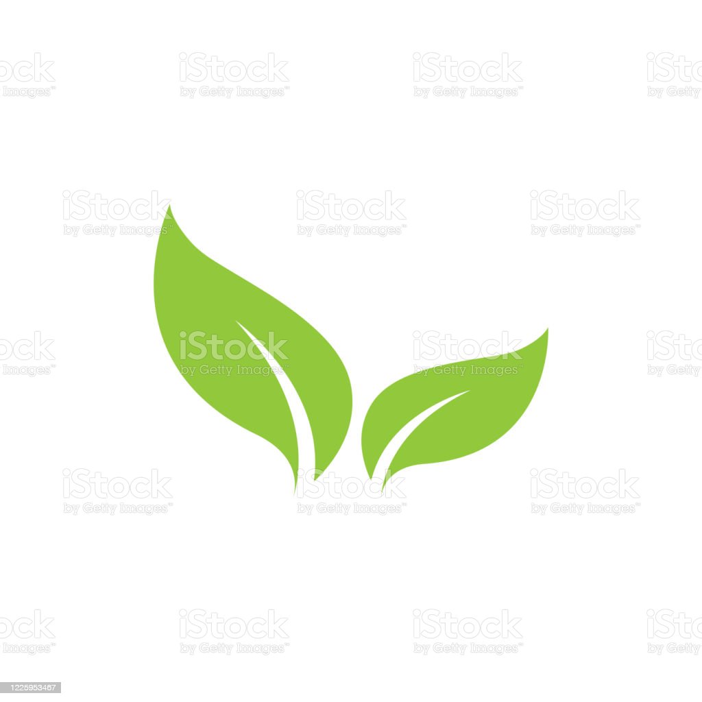 Detail Gambar Daun Vector Nomer 15