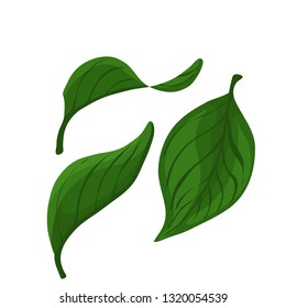 Detail Gambar Daun Vector Nomer 16