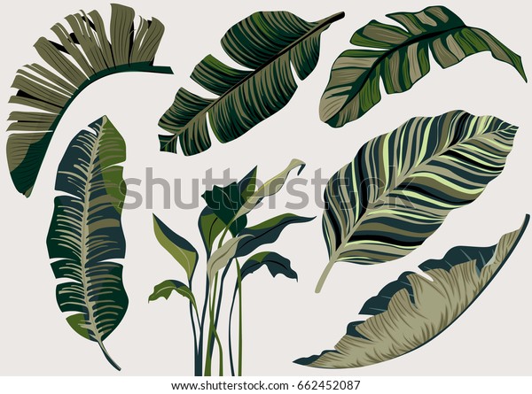 Detail Gambar Daun Vector Nomer 22