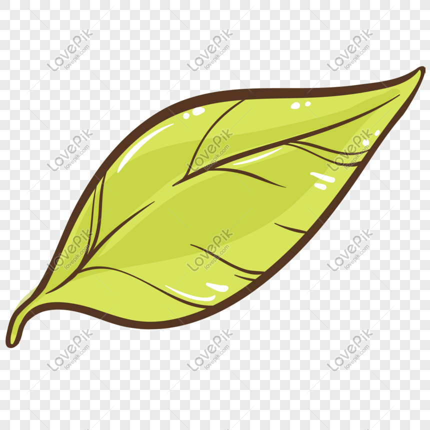 Detail Gambar Daun Vector Nomer 24