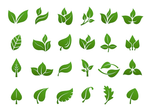 Detail Gambar Daun Vector Nomer 34