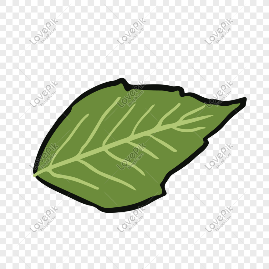 Detail Gambar Daun Vector Nomer 35