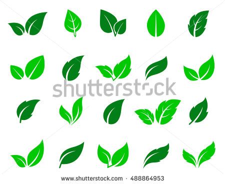 Detail Gambar Daun Vector Nomer 6