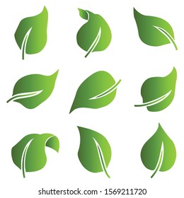 Detail Gambar Daun Vector Nomer 8