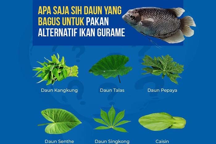 Detail Gambar Daun Yang Bagus Nomer 25