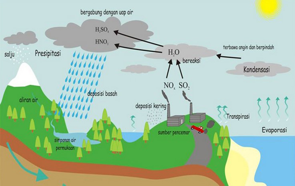 Detail Gambar Daur Air Dan Penjelasannya Nomer 45