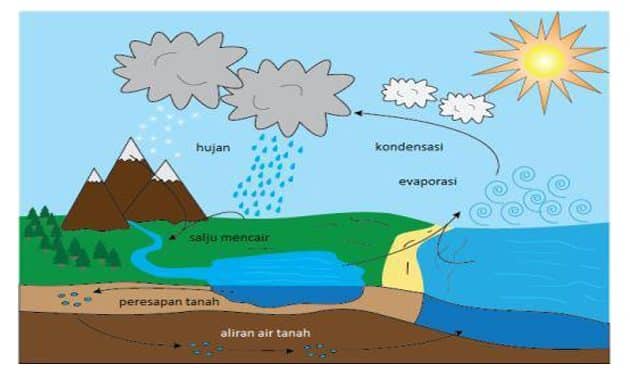 Detail Gambar Daur Air Kelas 5 Nomer 21