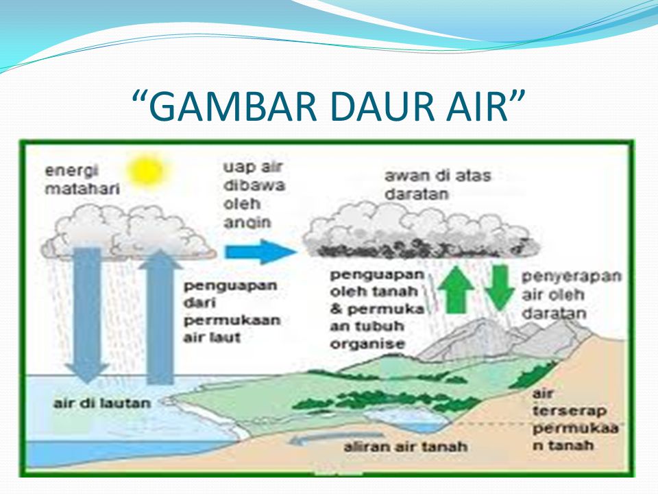 Detail Gambar Daur Air Kelas 5 Nomer 4