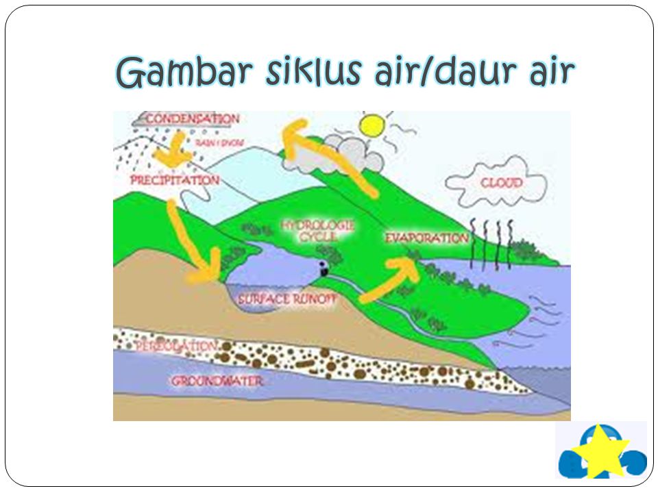 Detail Gambar Daur Air Kelas 5 Nomer 28