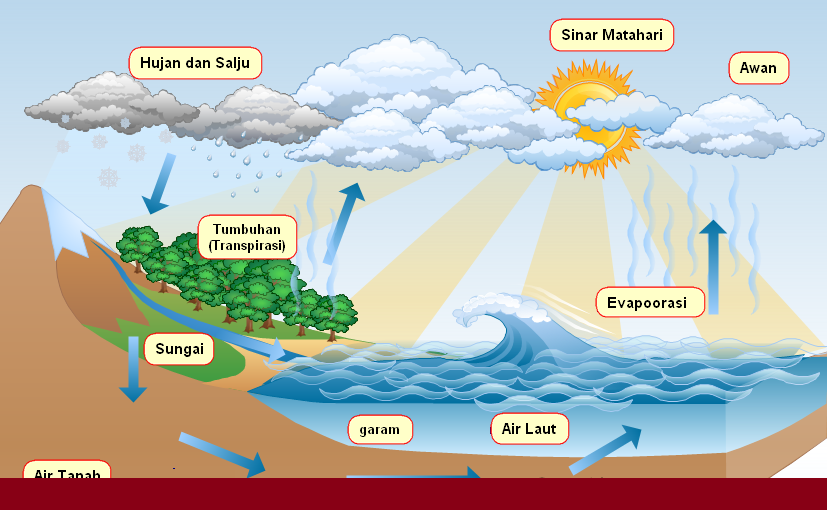 Detail Gambar Daur Biogeokimia Nomer 4