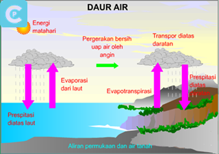 Detail Gambar Daur Biogeokimia Nomer 28