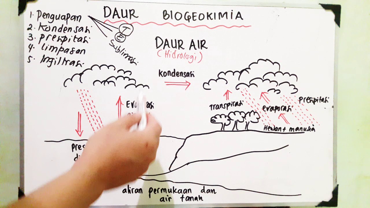 Detail Gambar Daur Biogeokimia Nomer 29