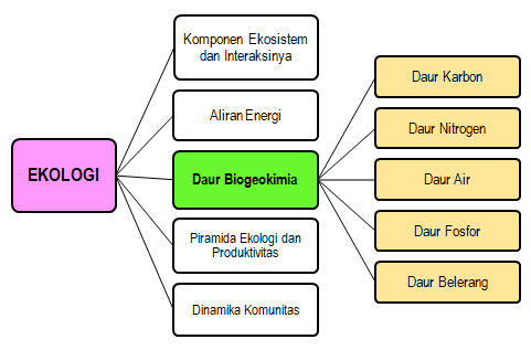 Detail Gambar Daur Biogeokimia Nomer 32