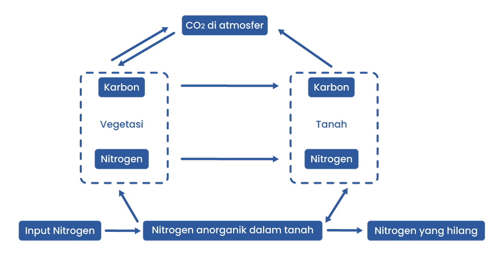 Detail Gambar Daur Biogeokimia Nomer 41