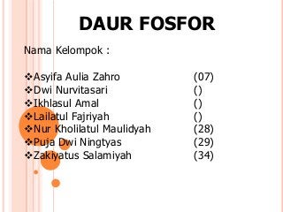 Detail Gambar Daur Fosfor Nomer 35