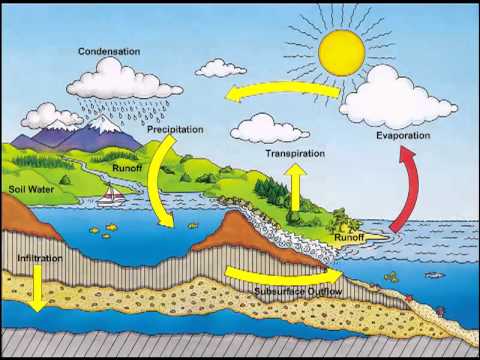 Detail Gambar Daur Hidrologi Nomer 14