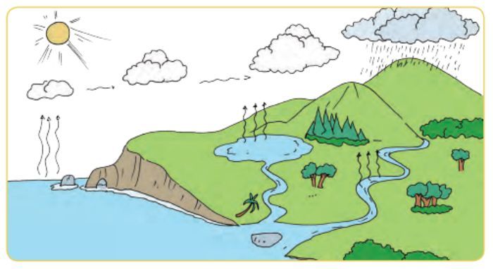 Detail Gambar Daur Hidrologi Nomer 23