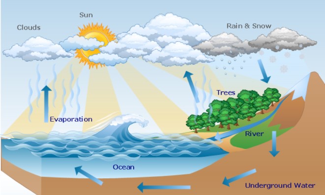 Detail Gambar Daur Hidrologi Nomer 26