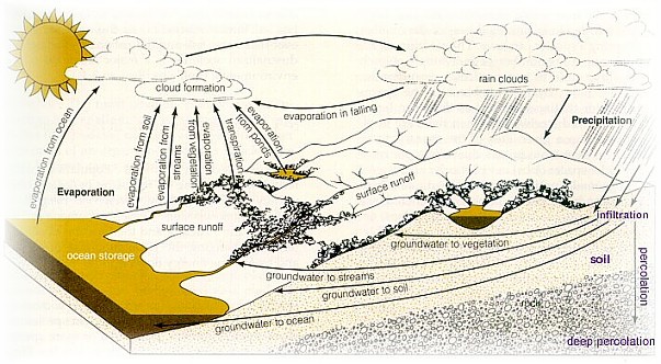 Detail Gambar Daur Hidrologi Nomer 38