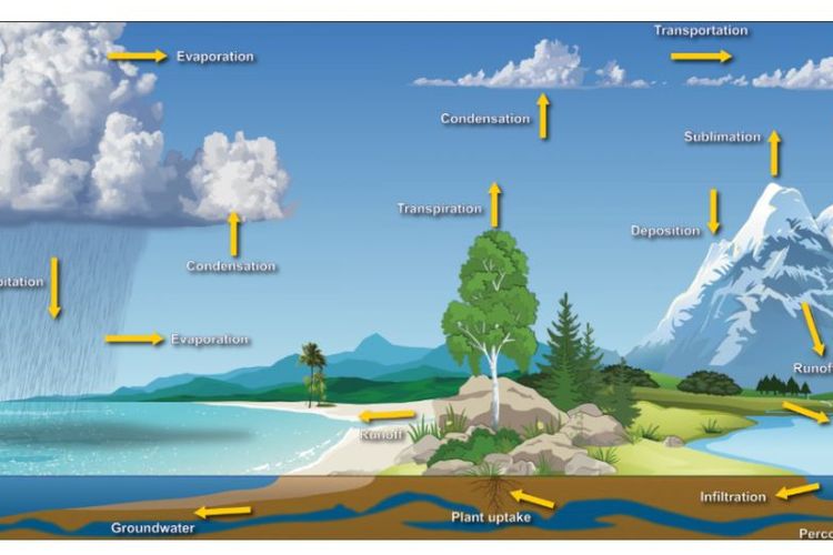 Detail Gambar Daur Hidrologi Nomer 39