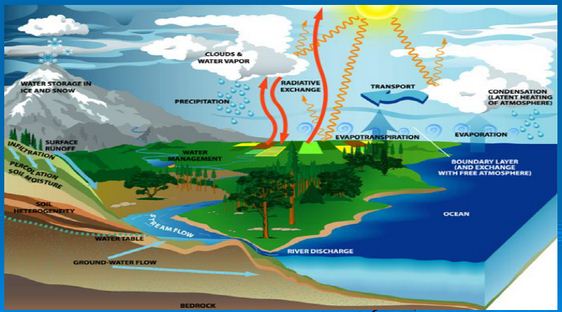 Detail Gambar Daur Hidrologi Nomer 50