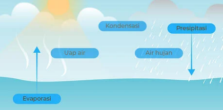 Detail Gambar Daur Hidrologi Nomer 51