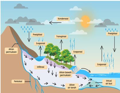 Detail Gambar Daur Hidrologi Nomer 52