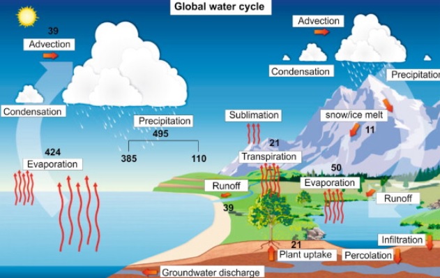 Detail Gambar Daur Hidrologi Nomer 10