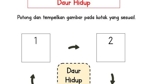 Detail Gambar Daur Hidup Ayam Nomer 27