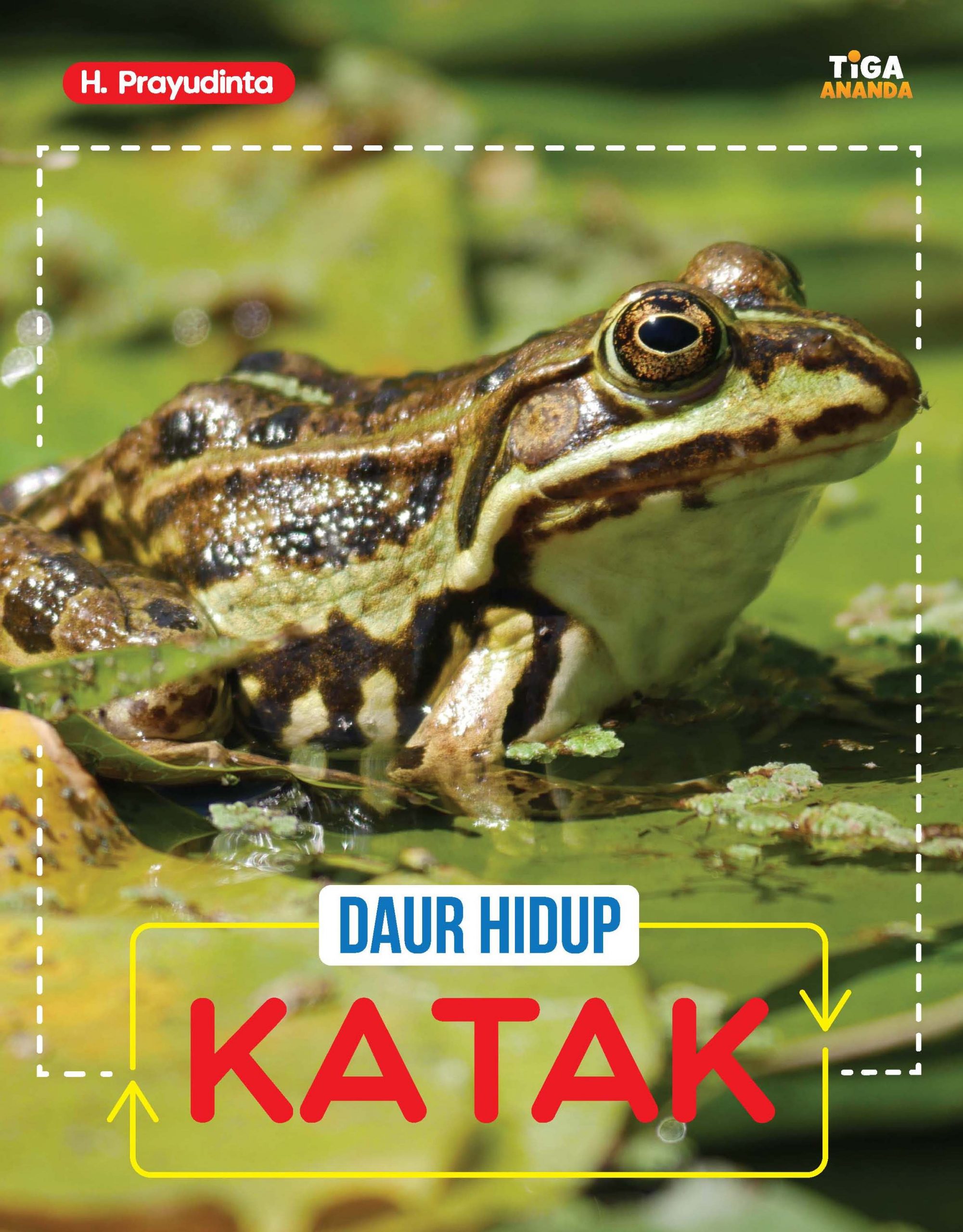 Detail Gambar Daur Hidup Katak Nomer 37