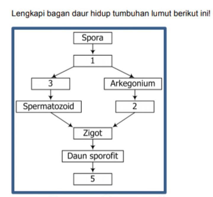 Detail Gambar Daur Hidup Lumut Nomer 54