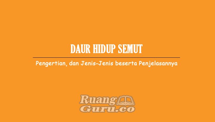 Detail Gambar Daur Hidup Semut Nomer 29