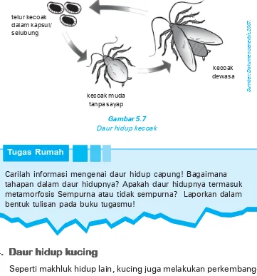 Detail Gambar Daur Hidup Ular Nomer 38