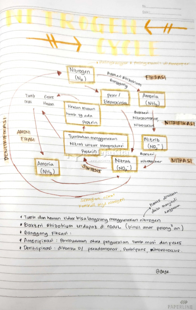 Detail Gambar Daur Nitrogen Nomer 24