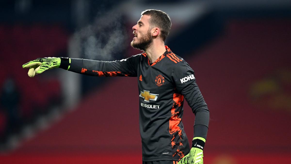 Detail Gambar David De Gea Nomer 4