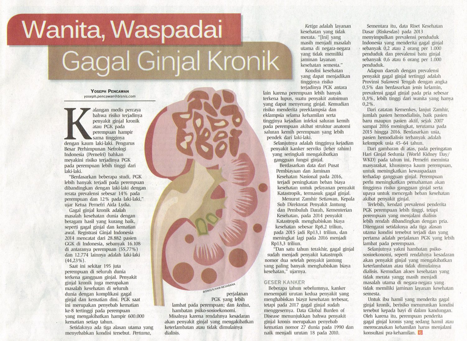 Detail Gambar Definisi Ginjal Pada Ibu Hamil Nomer 4