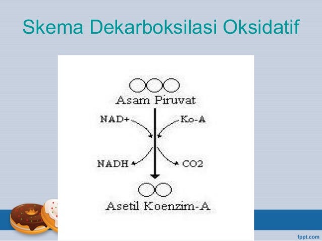 Detail Gambar Dekarboksilasi Oksidatif Nomer 26