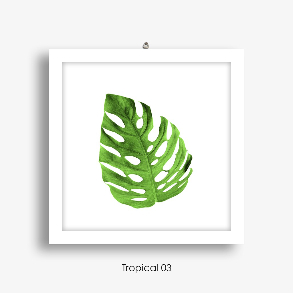 Detail Gambar Dekorasi Daun Tropical Nomer 25