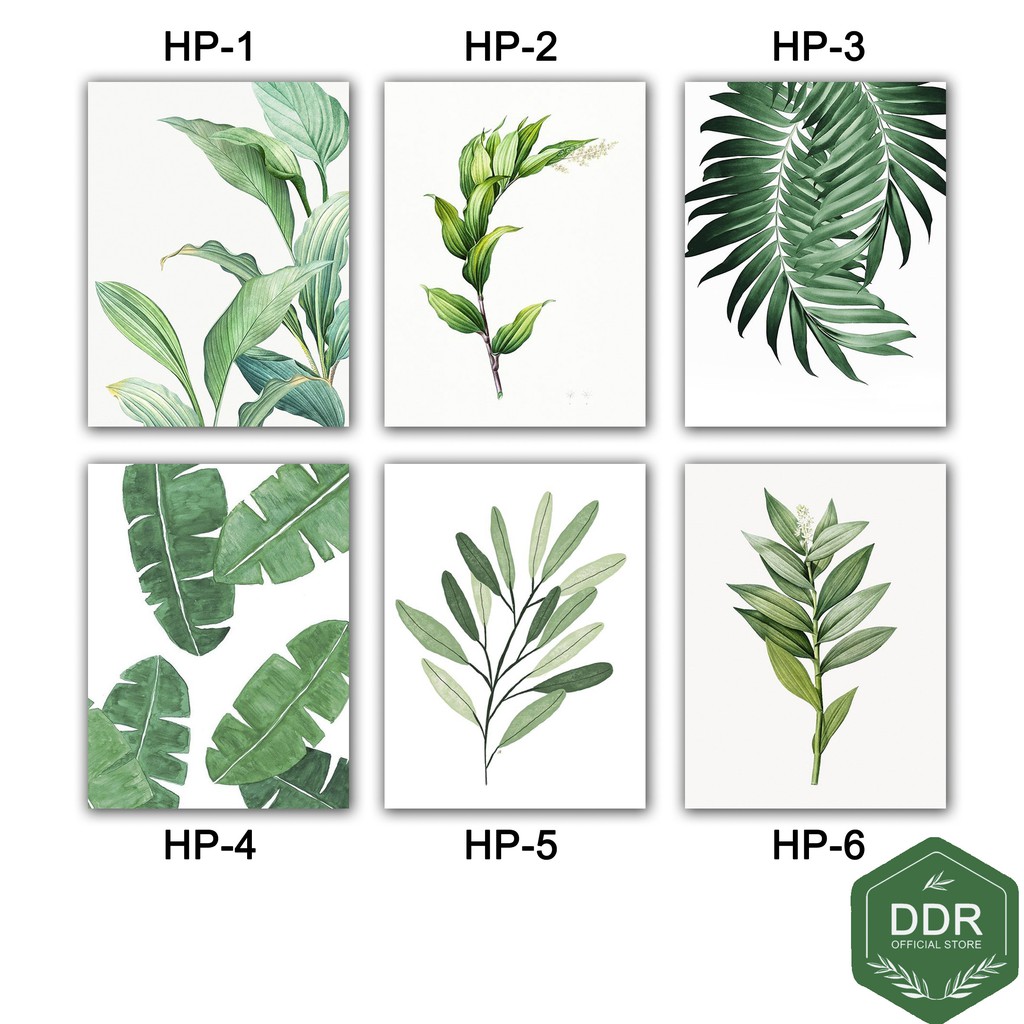 Detail Gambar Dekorasi Daun Tropical Nomer 27