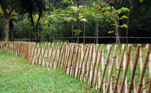 Detail Gambar Dekorasi Taman Sekolah Gambar Pagar Taman Depan Kelas Nomer 46