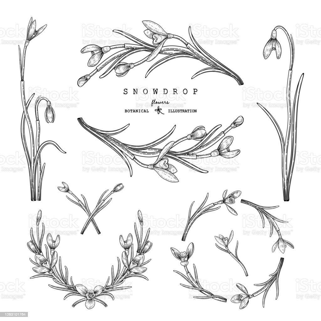 Detail Gambar Dekoratif Bunga Hitam Putih Nomer 44